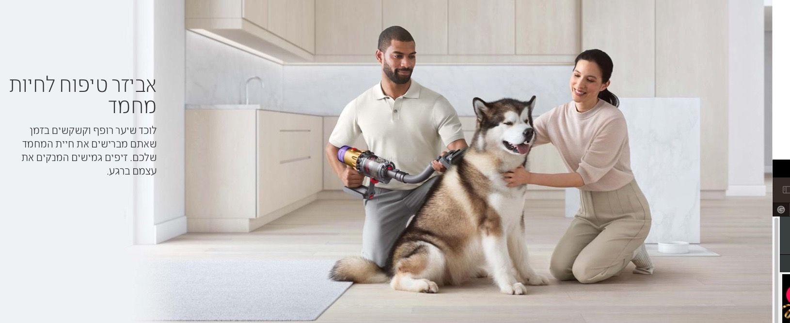 ערכת טיפוח לחיות מחמד Dyson | משלוח מהיר – תמונה 2