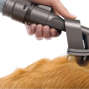 מברשת סירוק/אביזר לכלבים DYSON דגם GROOM יבואן רשמי |  משלוח מהיר