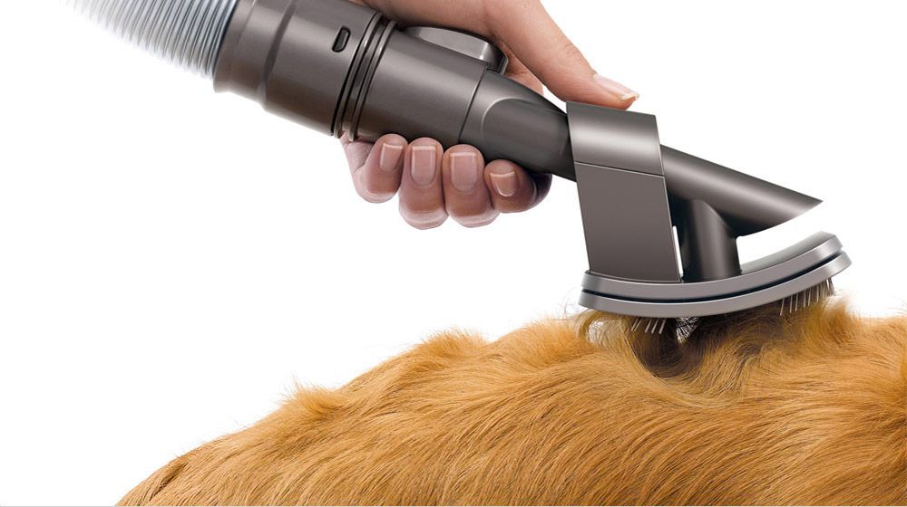 מברשת סירוק/אביזר לכלבים DYSON דגם GROOM יבואן רשמי | משלוח מהיר