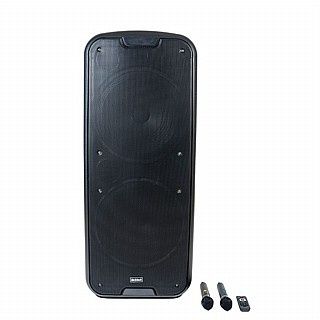 בידורית-רמקול מוגבר נייד 15 אינטש RichTech STUDIO 215 כולל 2 מיקרופונים – תמונה 2