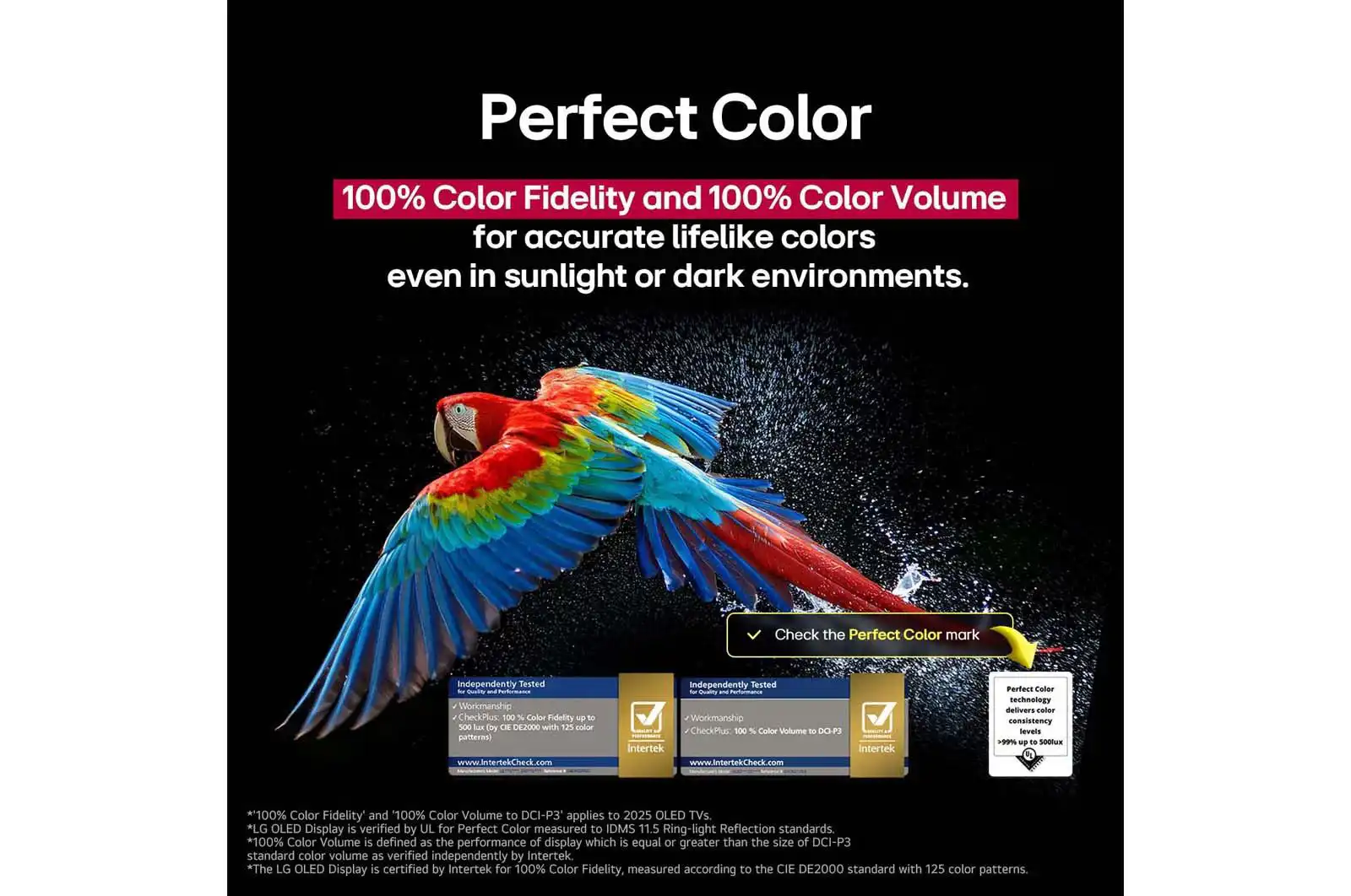 טלוויזיה חכמה LG OLED48C56LA – מסך 48 אינץ׳ OLED evo 4K עם α9 AI Gen8 | יבואן רשמי-משלוח מהיר – תמונה 7