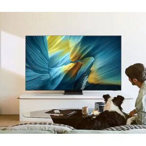 Samsung QE77S95F - טלוויזיה חכמה 77 אינץ' OLED 4K S95F | יבואן רשמי סמסונג ישראל